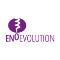 Enoevolution