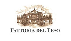 Fattoria del Teso – Montecarlo – Toscana